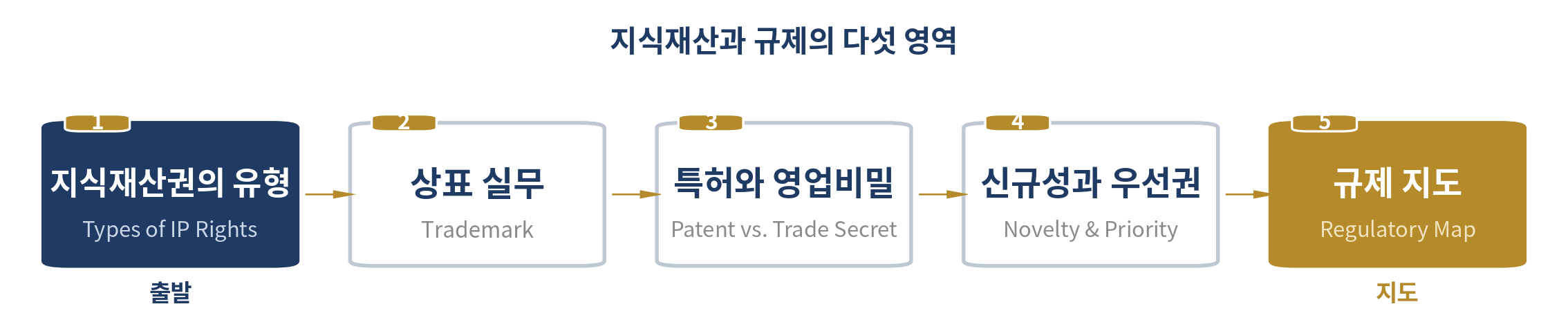 지식재산과 규제 — 이 장의 다섯 영역